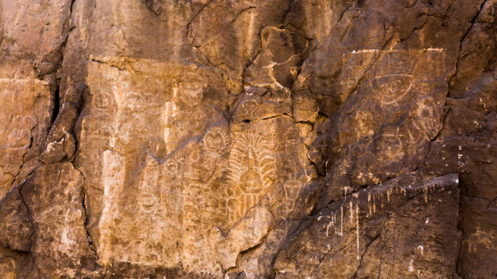 岁月失语惟石能言走近乌海桌子山岩画