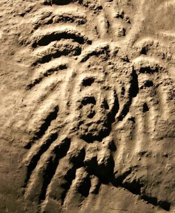 岁月失语惟石能言走近乌海桌子山岩画