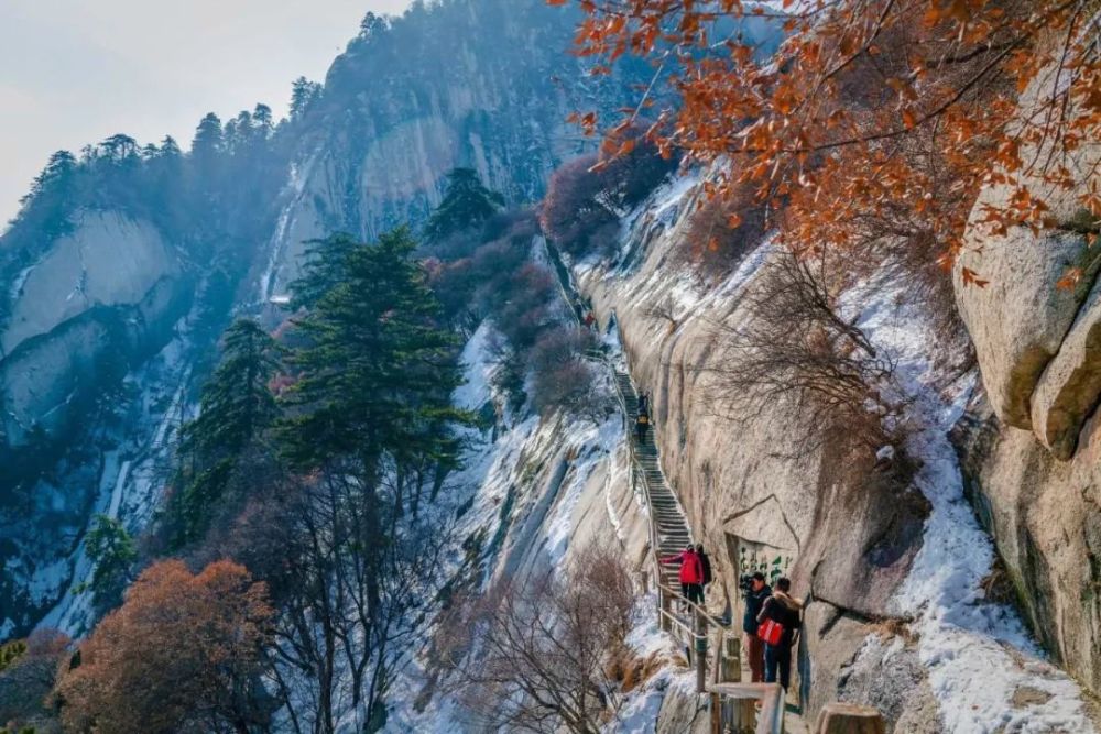 华山旅游资讯微信公众号(华山旅游资讯微信公众号是多少)