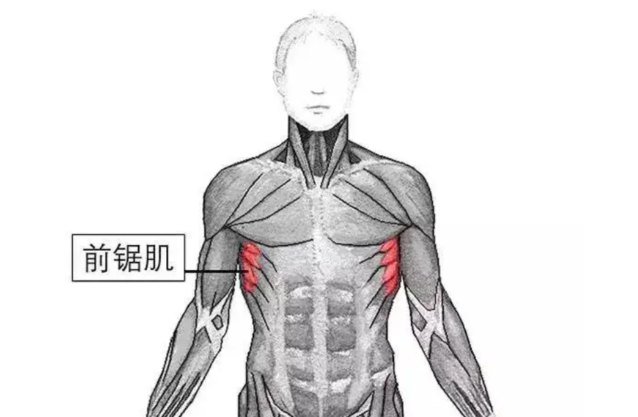 羽生结弦的鲨鱼线马甲线曝光太漂亮了都是为花滑而生的肌肉