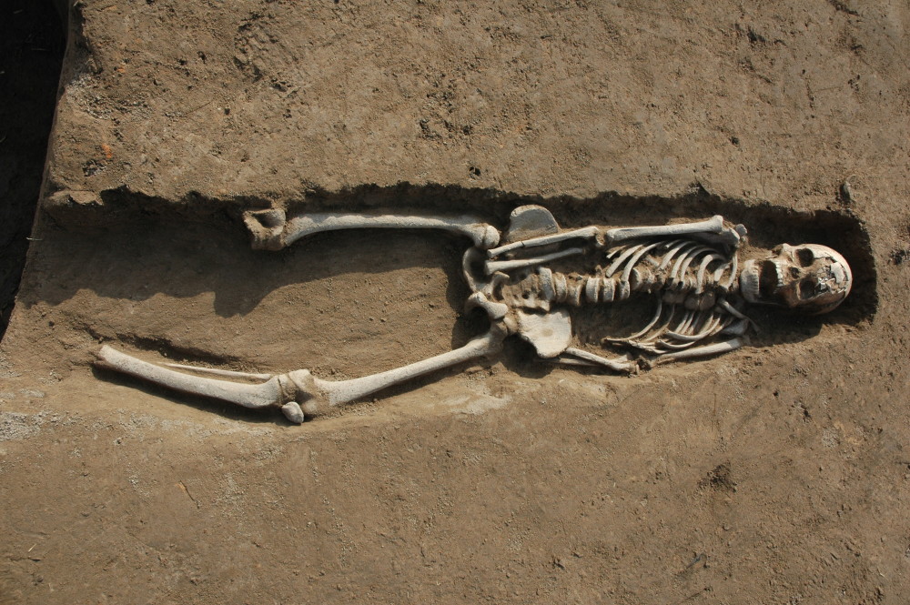 (图文互动)河南瓦店遗址发现夏代早期大型祭祀遗迹