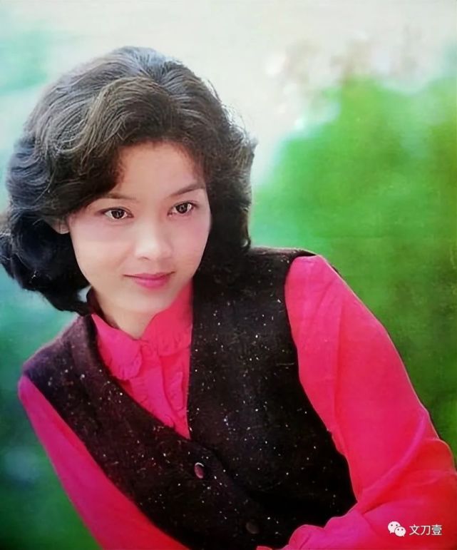 虽然在剧中潘红扮演的只是配角,也并未掀起任何火花,但也为潘虹带来了