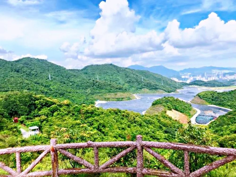 以三洲田水庫,茶園,瀑布,風景