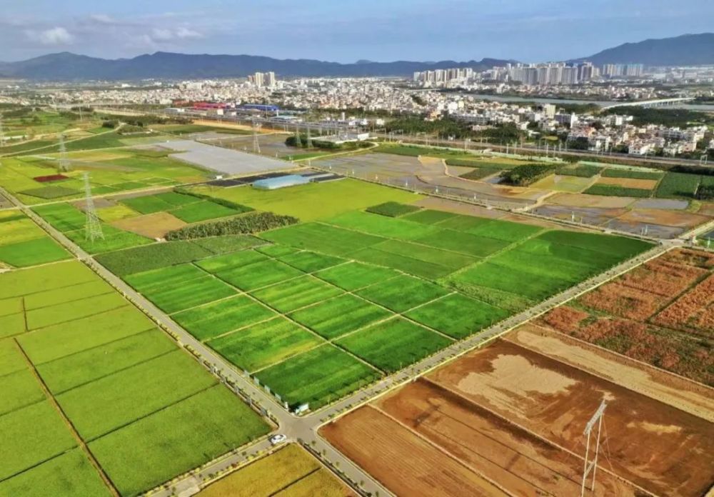 分类管理分时使用三亚用活南繁基地