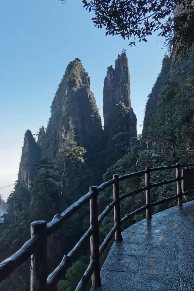 郴州旅遊推薦:莽山