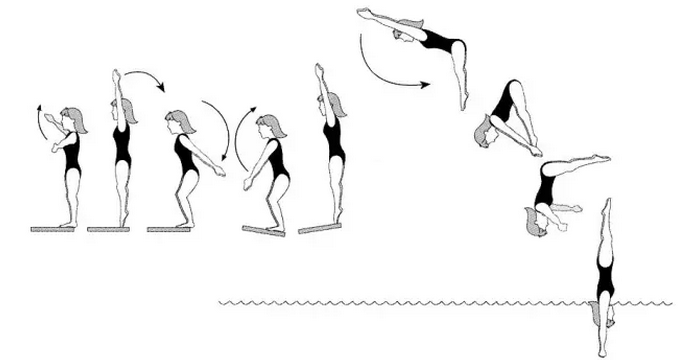 根据运动员起跳前站立的方向和起跳后身体运动的方向,跳水动作被分为6