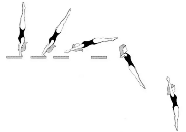 详解世锦赛跳水规则!四大要点教你明白看"数字"动作