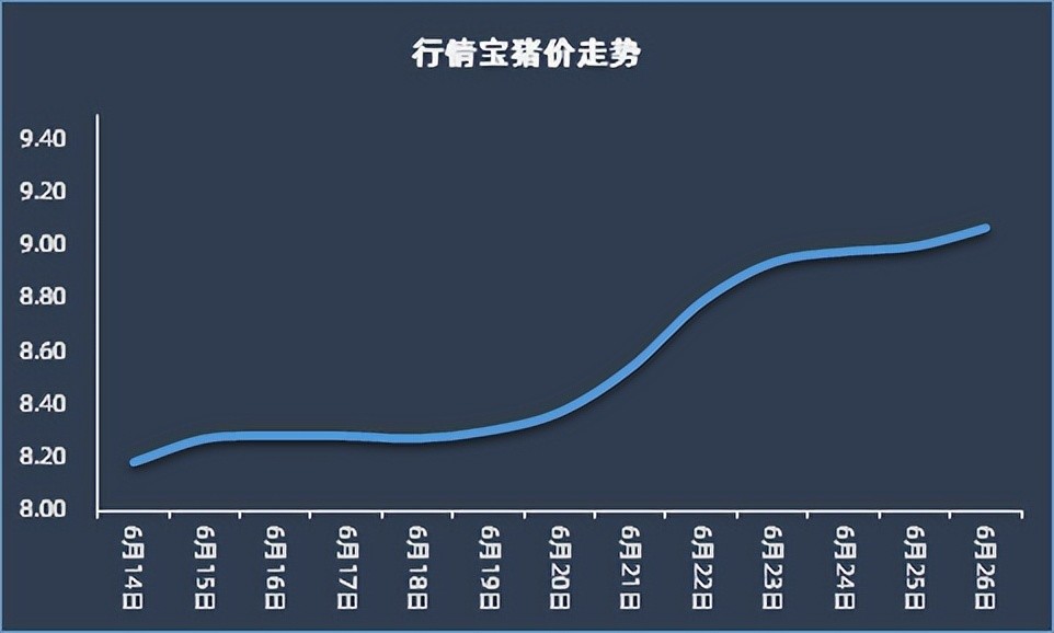 豬價大漲超57生豬期貨創一年多新高7月上漲被透支