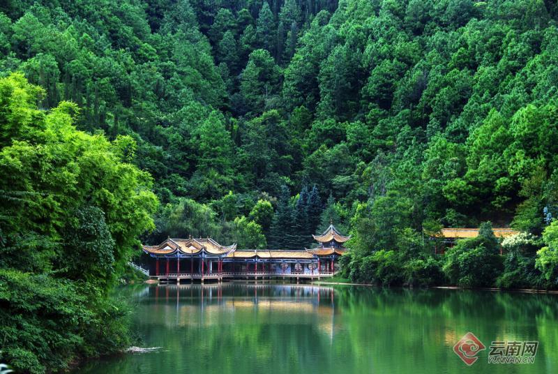 早安云南易门龙泉国家森林公园一园览尽千秋色一景看尽地方史
