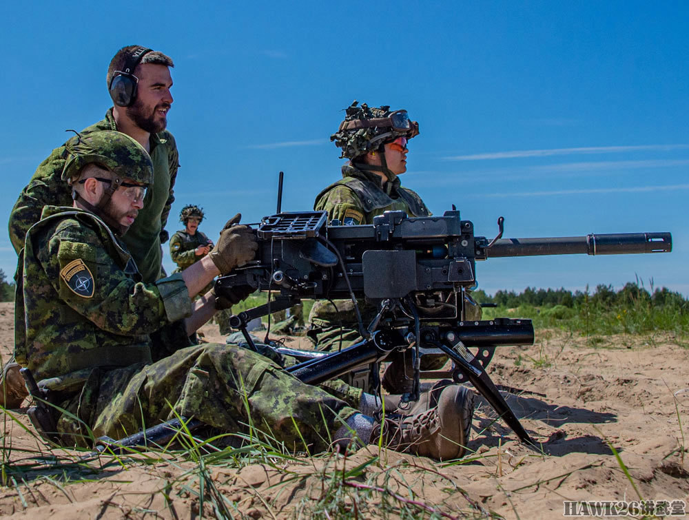 加拿大军队在拉脱维亚进行实弹训练猛烈火力表达保卫盟友的决心