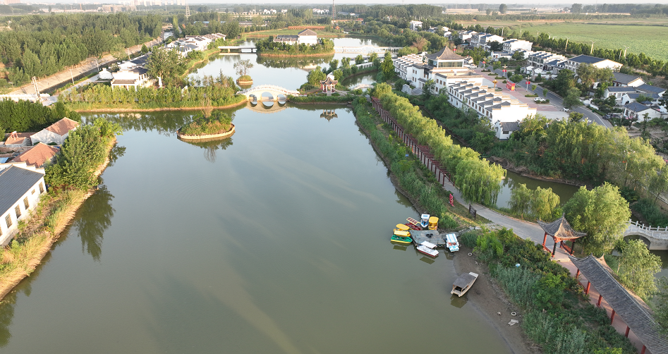 乡村振兴看河南民权任庄以绿为本擦亮乡村振兴最靓底色