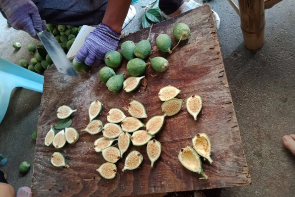 4种做冰凉粉的天亚博买球网址然材料路边摘一把就能做一盆你吃过几种 4种做冰凉粉的天亚博买球网址然材料路边摘一把就能做一盆你吃过几种