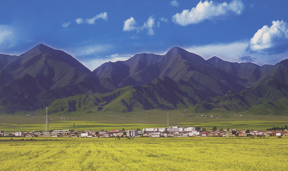 读兴海县志品兴海韵味