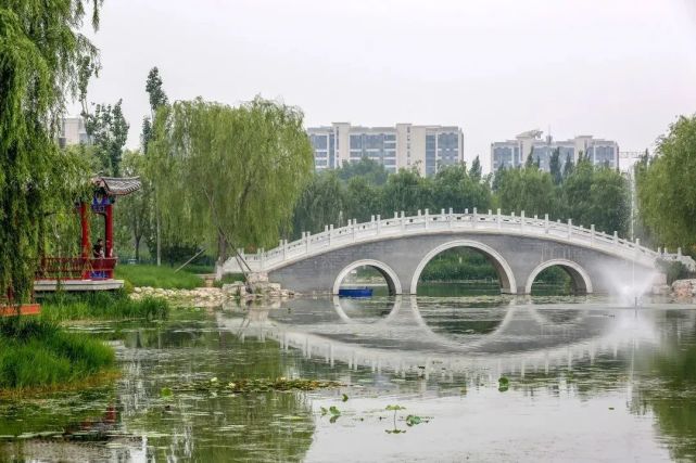 稻田蛙聲映清泉,舊宮城市森林公園讓您盡享畫意