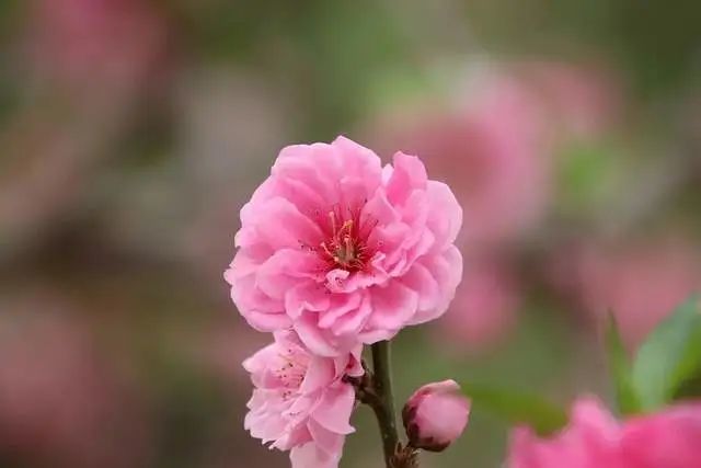 6月28日星座日运 摩羯运势低迷 双子容易消极 水瓶负能量过剩 腾讯新闻