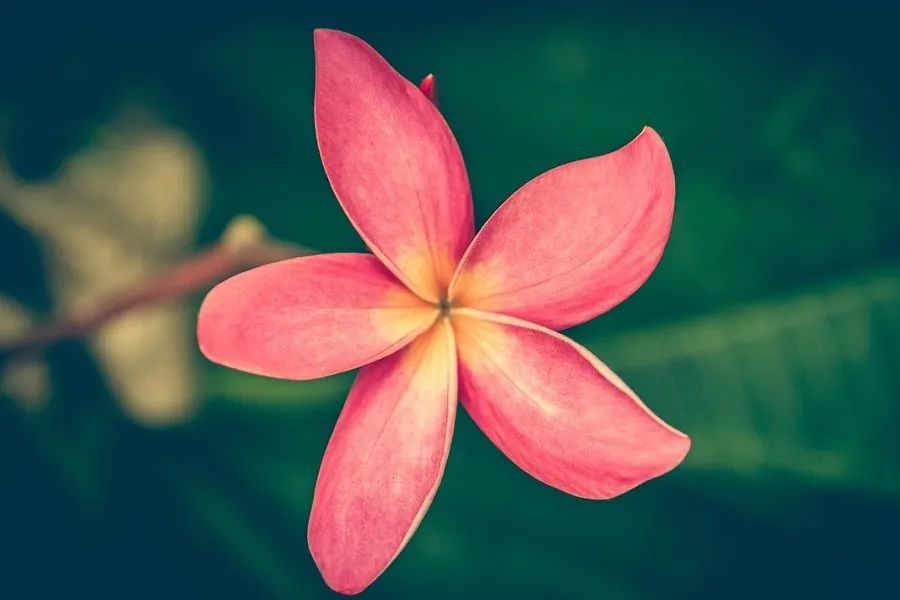 6月28日星座日运 狮子运势尚可 金牛比较无趣 天秤平平无奇 腾讯新闻