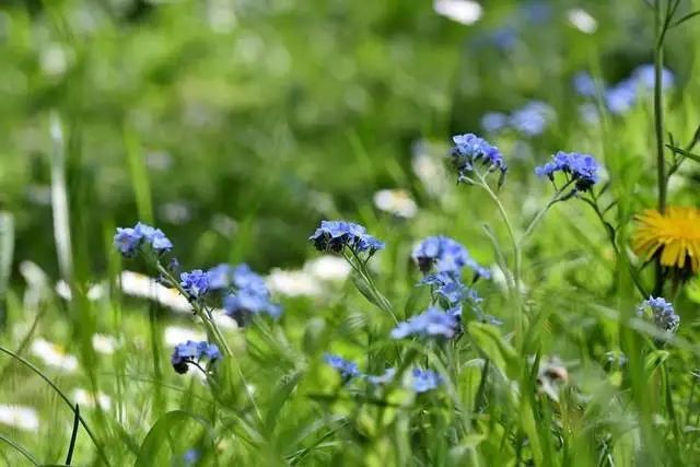 6月28日星座日运 巨蟹运势正旺 射手神采奕奕 双鱼喜气洋洋 腾讯新闻