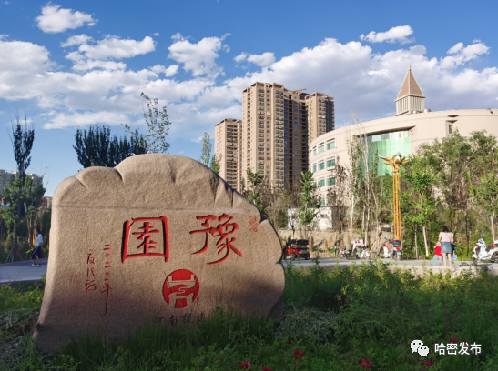 一人一句说哈密|"甜美哈密是我的第二故乡"