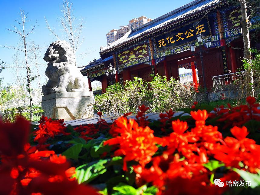 一人一句说哈密|"甜美哈密是我的第二故乡"