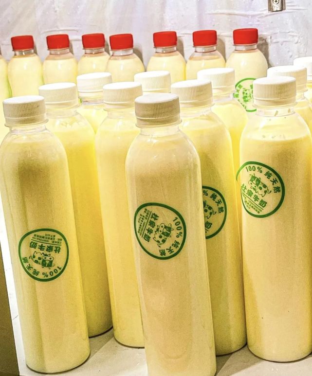 去大理,实现牛奶自由