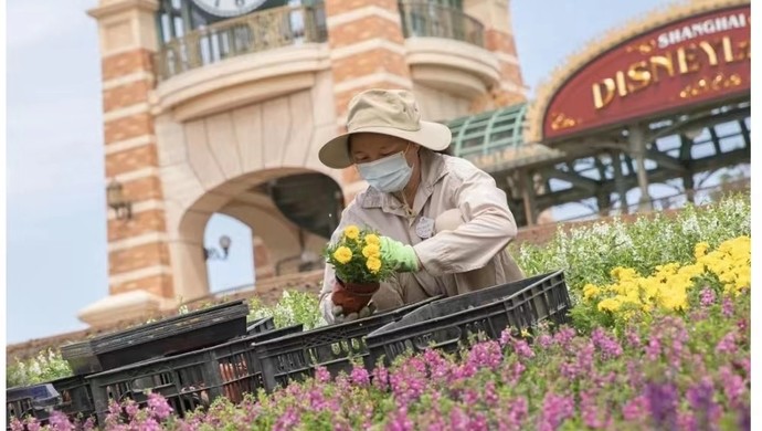 上海迪士尼6月30日开园，“迪士尼”关键词访问量暴涨655％