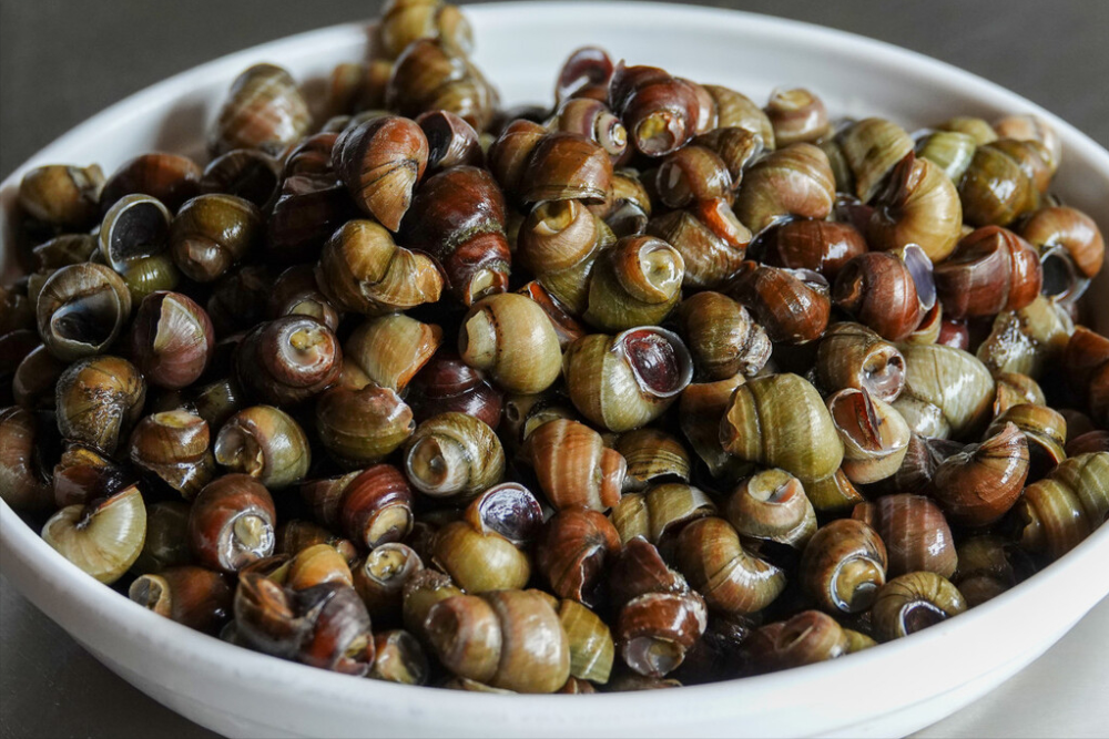 清洗田螺,只放盐还不够,多加1味料,田螺吐沙彻底,干净放心吃