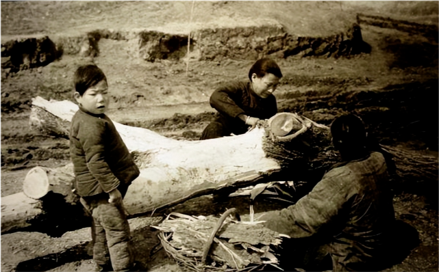 1942年河南大饑荒,餓到吃樹皮,賣兒賣女,這些老照片令人心酸