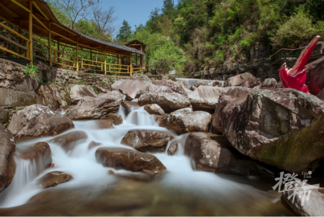 一图看懂丨接驳杭州火车东站,临安开通天目山区夏季旅游专线
