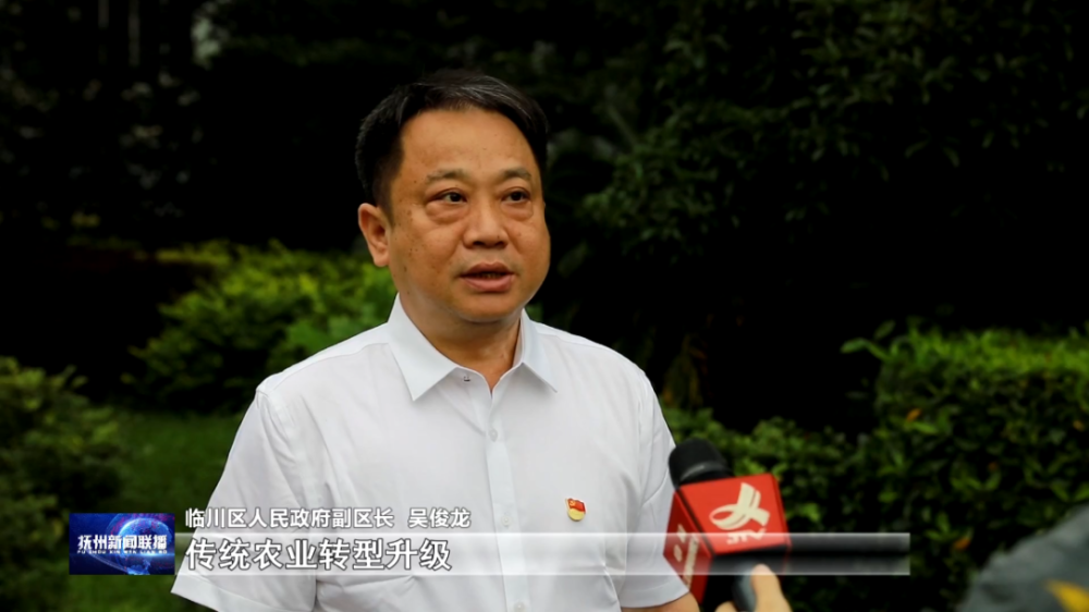 临川区人民政府副区长 吴俊龙:传统农业转型升级,落实粮食播种面积136