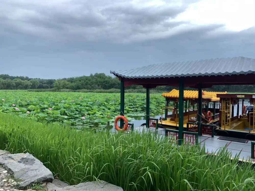 朝阳区通报：这43家企业未严格落实防疫责任一对一在线英语哪个好2023已更新(头条/微博)一对一在线英语哪个好