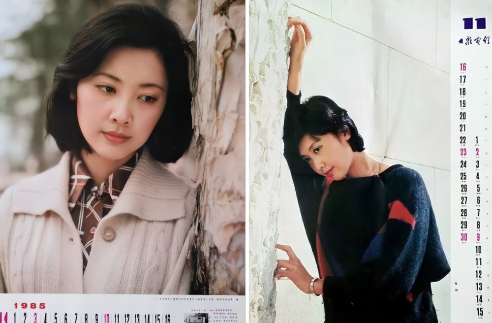 "挂历女神"朱琳:画里走出来的古风美女,80年代男人们的向往插图8
