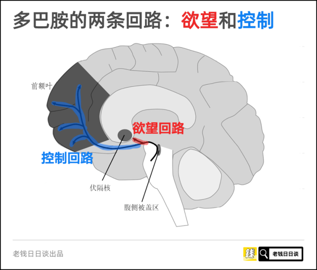 欢迎来到多巴胺的世界_腾讯新闻