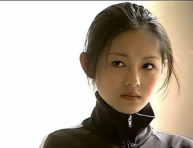 凭借《流星花园》,大s入围金钟奖最佳女主角奖.