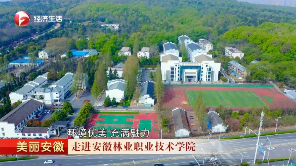《美丽安徽》:走进安徽林业职业技术学院_腾讯新闻