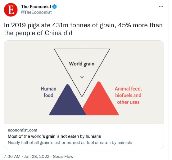 外媒：“猪比中国人吃得多”