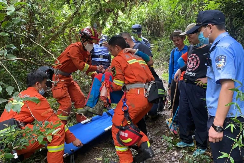 義烏:驢友登山遭五步蛇咬傷 夏季雨後小心蛇出沒_騰訊新聞