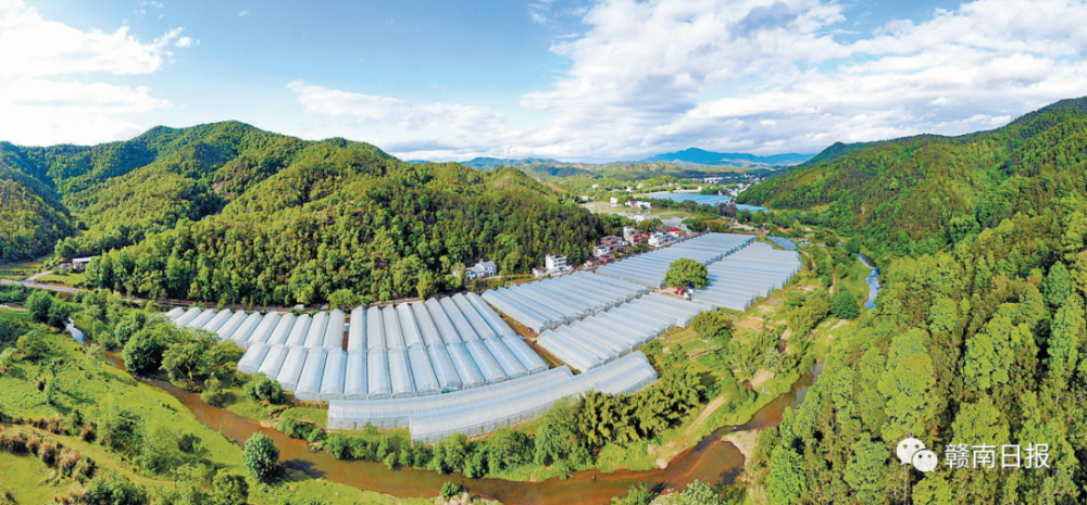 十年振兴路|赣县区湖江镇:逐梦阡陌促振兴 诗意乡村踏歌来