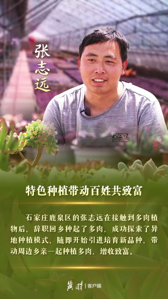 台,河北新闻网,河北农网,长城网等编辑:韩增发 崔晓锋视觉:侯涛编审