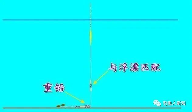 何為雙鉛釣法什麼時候能用雙鉛釣法本文為你破解所有疑惑