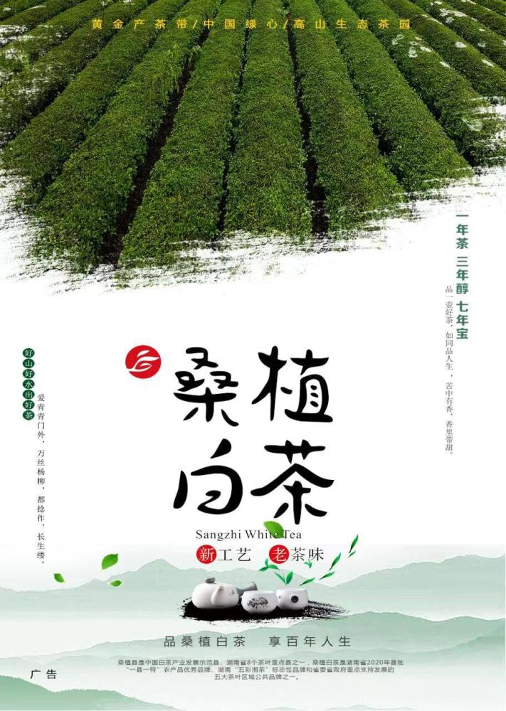 桑植茶图片