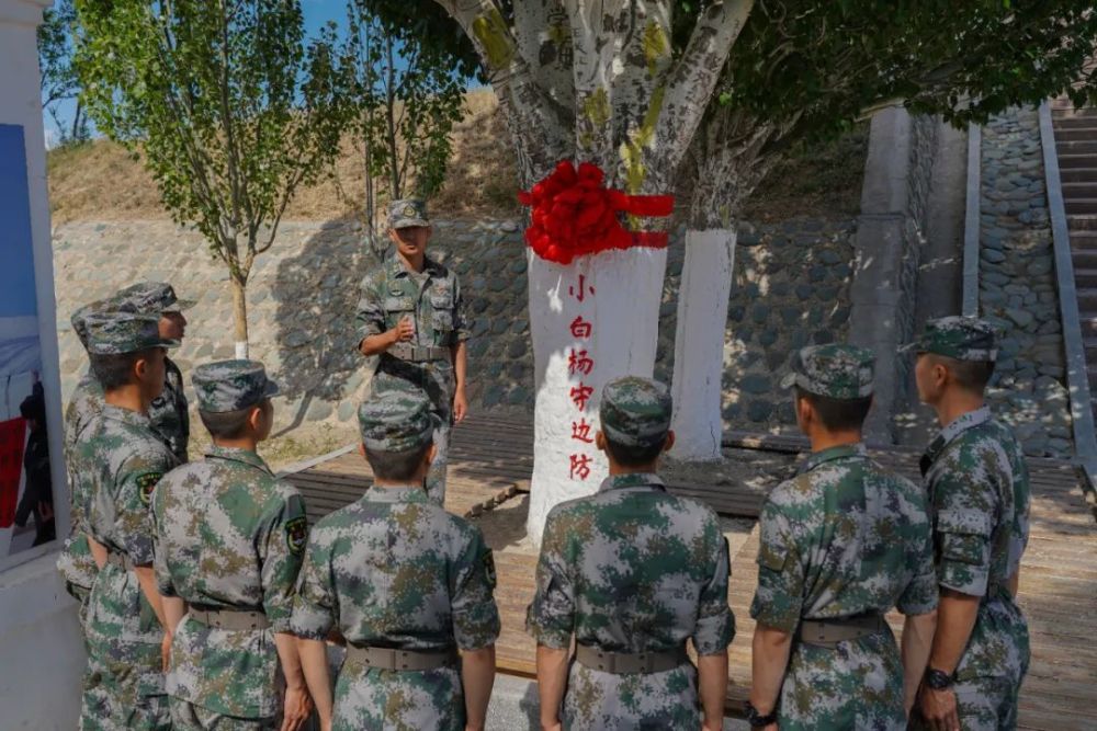 "小白杨"戍边40年,种下它的老兵回来了!_腾讯新闻