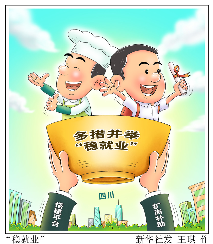 就业指导漫画图片