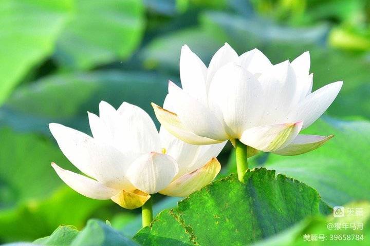 青未了 匆匆半年过 腾讯新闻