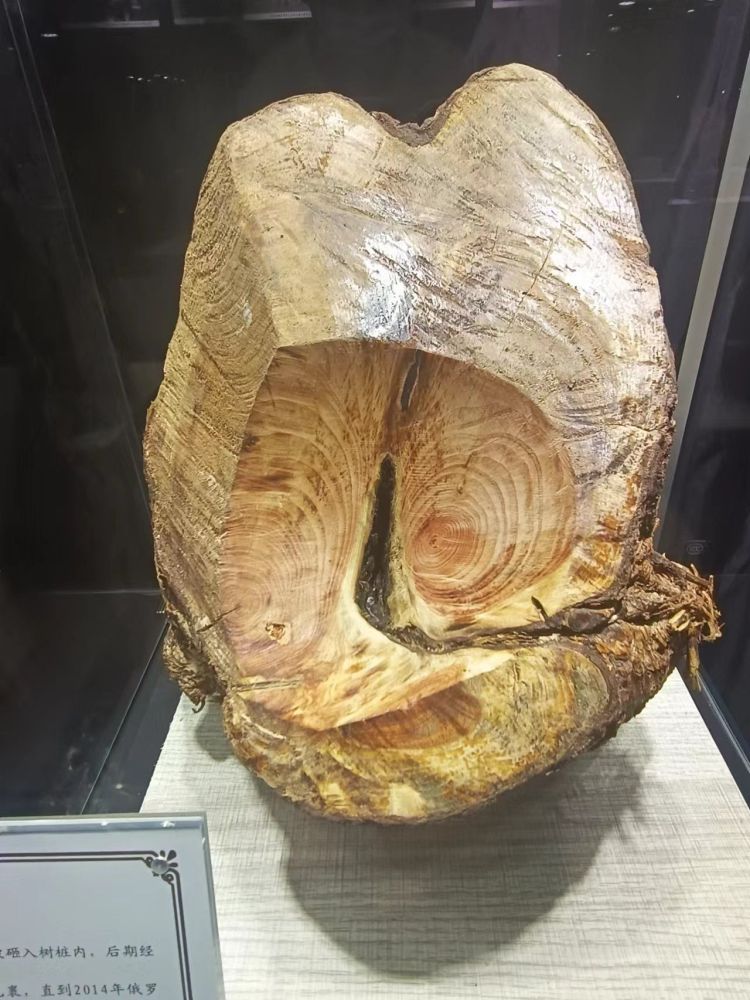 去陨石博物馆看星星