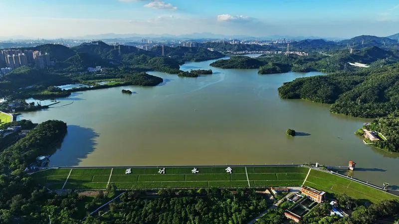 深圳文脉影像志│深圳水库波光粼粼里的深港情缘