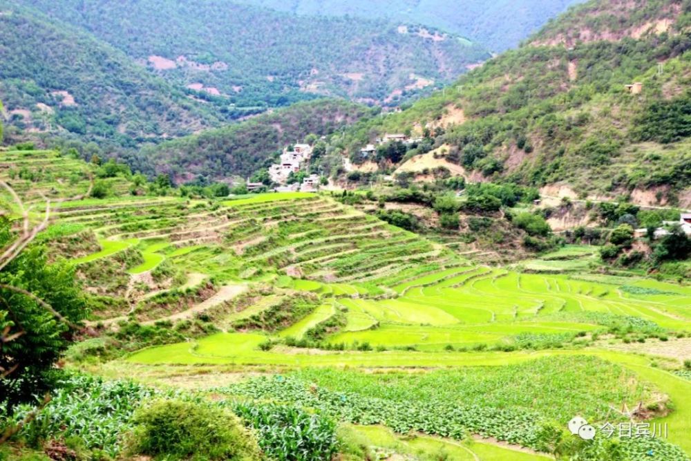 行摄宾川夏日彝乡拉乌河底梯田美若画