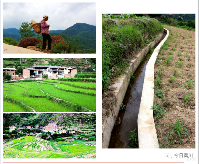 【行摄宾川】夏日:彝乡拉乌河底梯田美若画