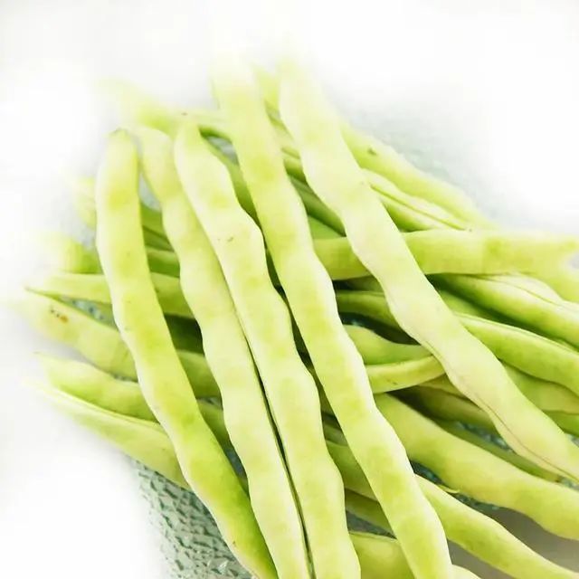 白芸豆的神奇功效,真的那么神奇吗