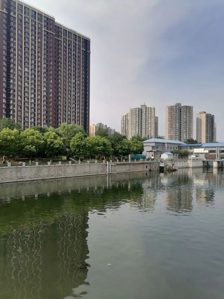 北京一处“竹子王国”，尽显中华竹文化风采，市民免费地铁直达八年级上册地理课本内容