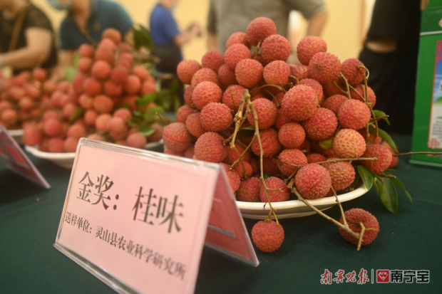 广西哪个品种的荔枝最好吃？这些指标最重要_腾讯新闻